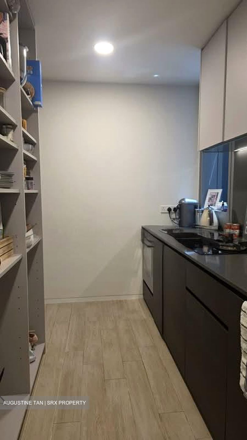 Amber Park (D15), Condominium #560749981